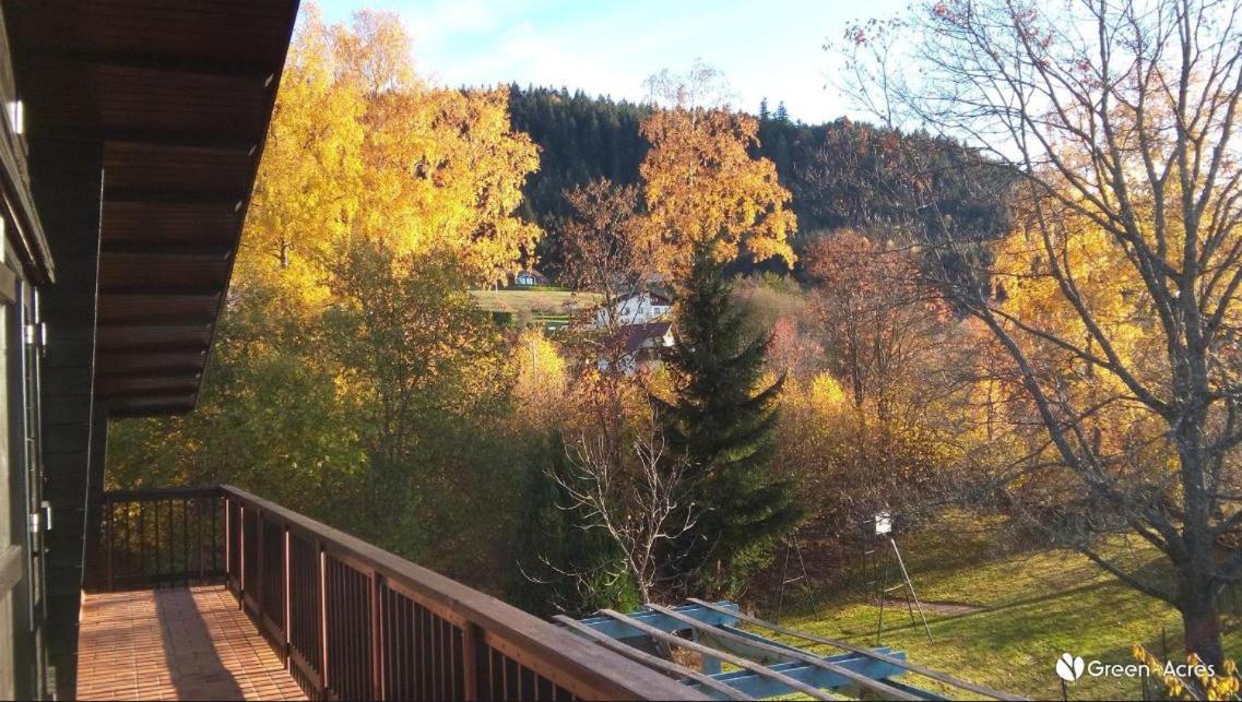 Chalet Les Chardons Gérardmer Exteriér fotografie